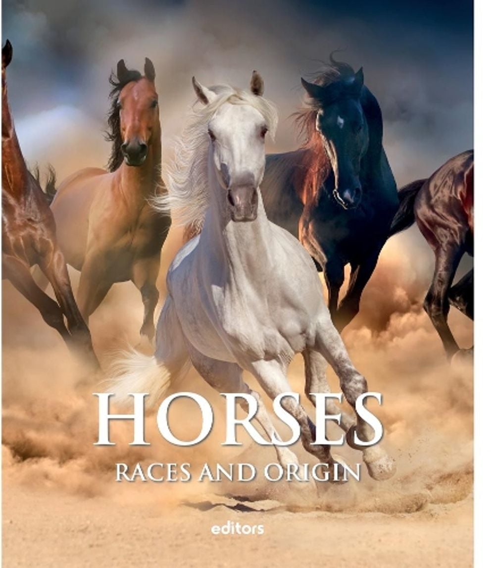 Horses by David Dalmau - ISBN: 9788445909713