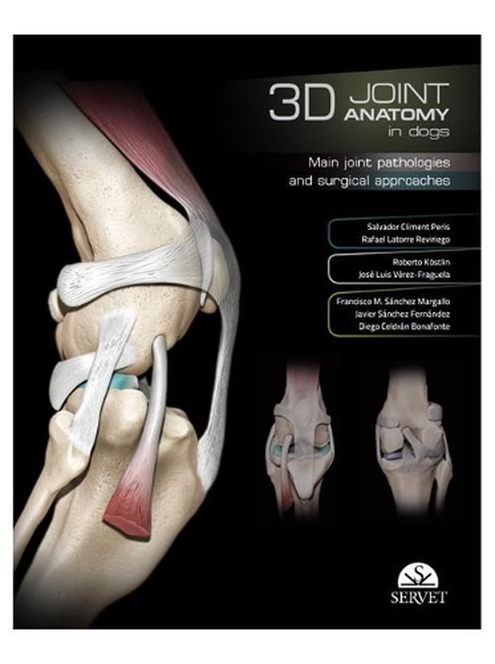 3D Joint Anatomy in Dogs. Main joint pathologies and surgical approaches, 9788494277559