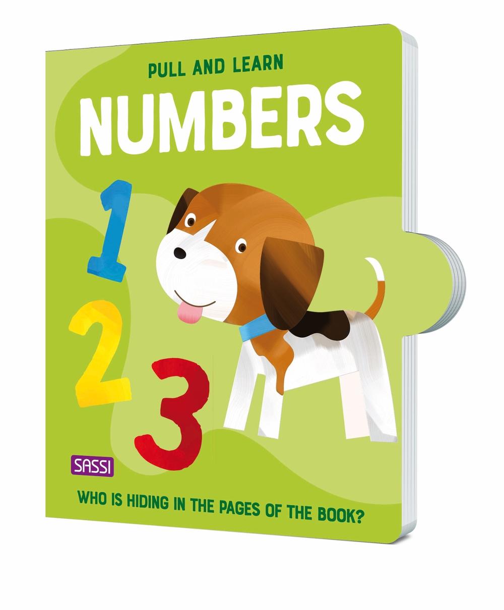 Numbers Pull and Learn Play Book, 9788830306400
