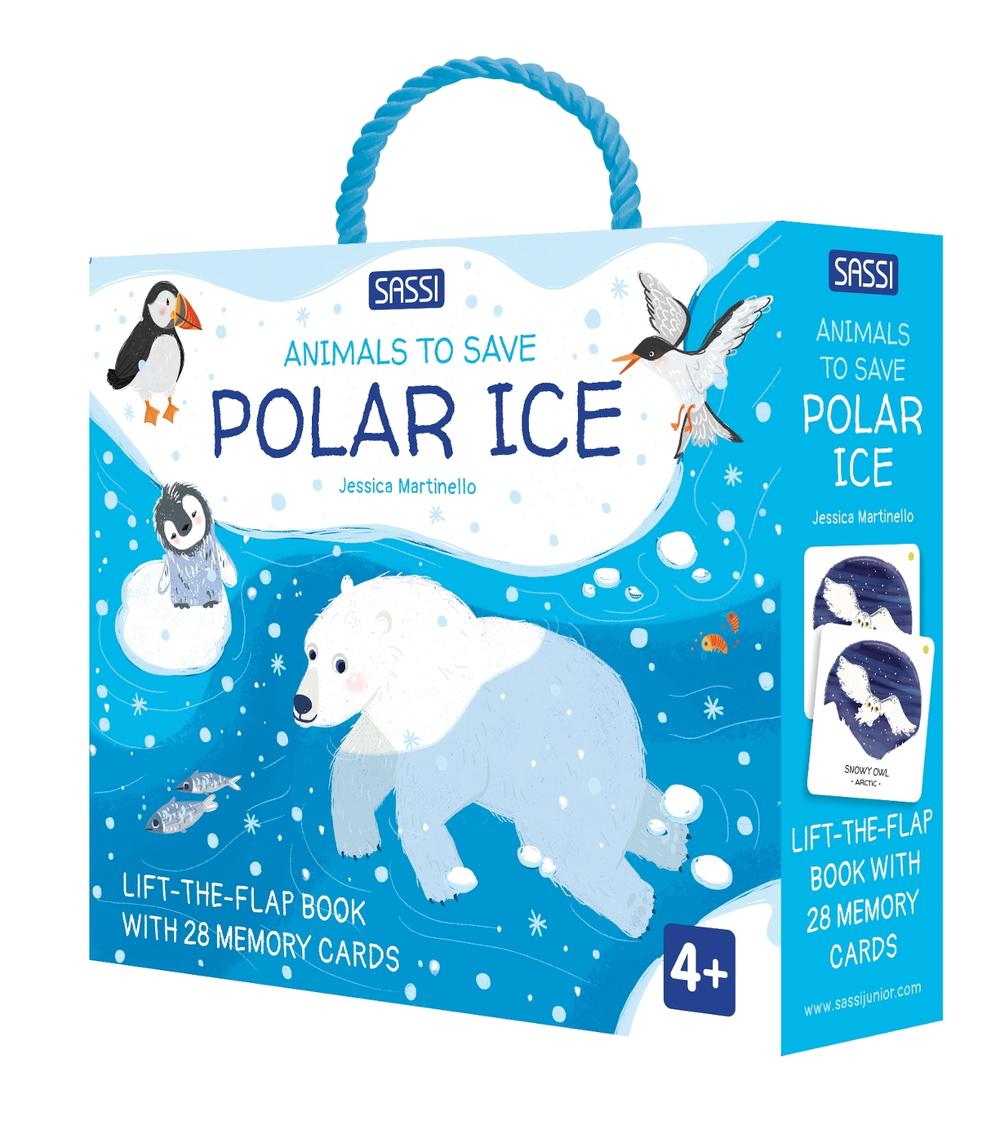Memory Match Book - Polar Ice, 9788830311589