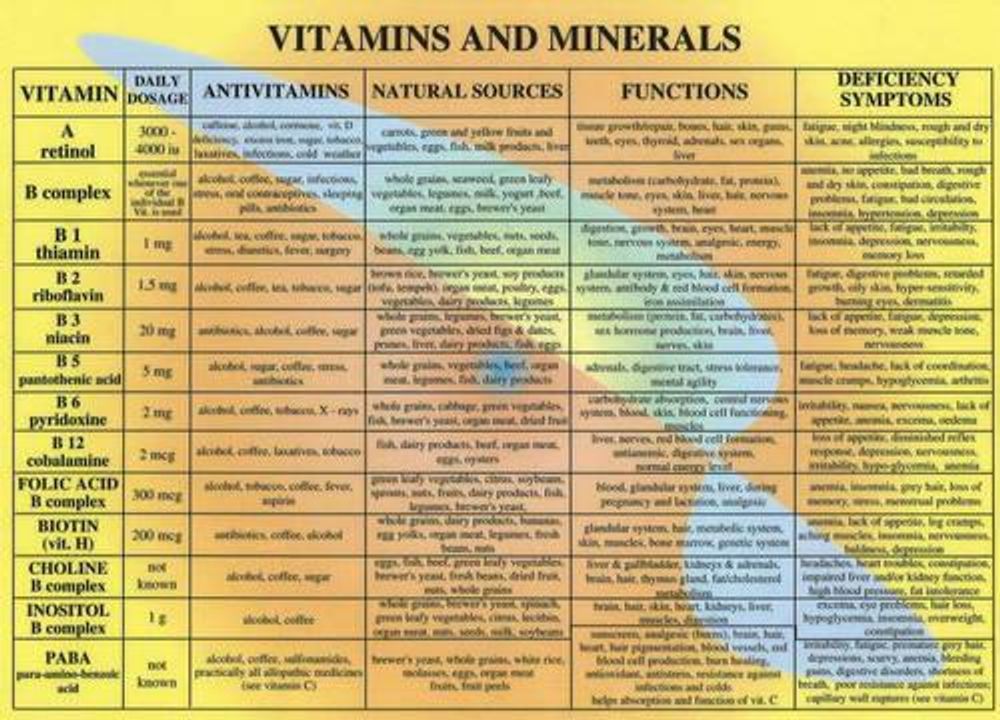 Vitamins & Minerals -- A4 by Jan van Baarle - ISBN: 9789070281212