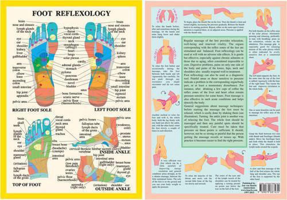 Foot Reflexology -- A4, 9789079887439