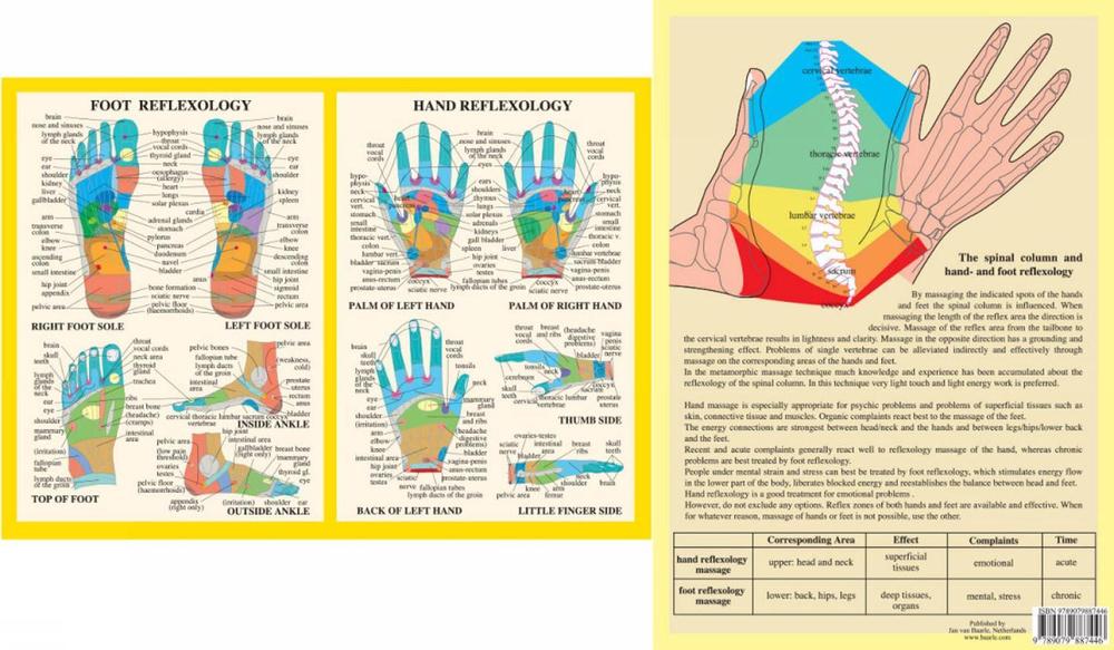 Hand & Foot Reflexology -- A4, 9789079887446