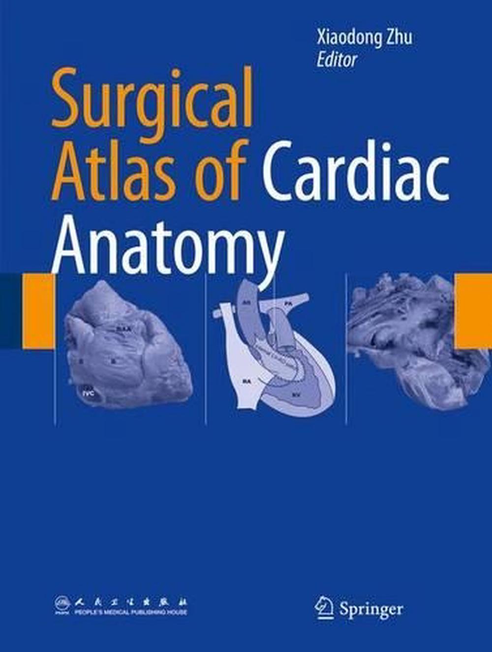 Surgical Atlas Of Cardiac Anatomy, Hardcover, 9789401794084 | Buy ...