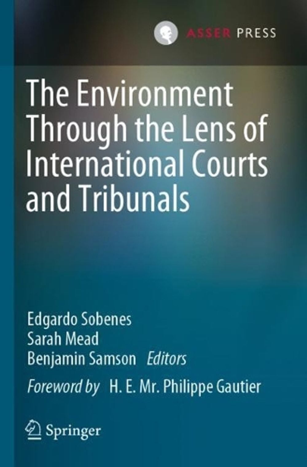 The Environment Through the Lens of International Courts and Tribunals ...