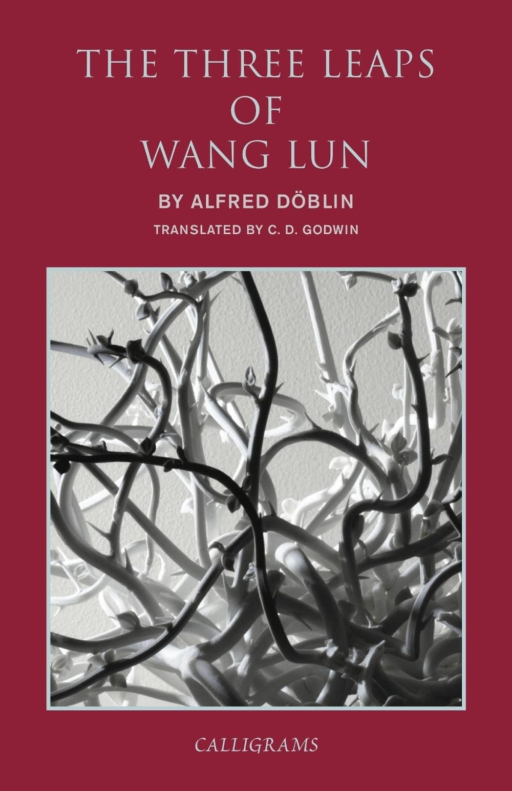 The Three Leaps Of Wang Lun, Main Edition by C.D. Godwin - ISBN: 9789629965648