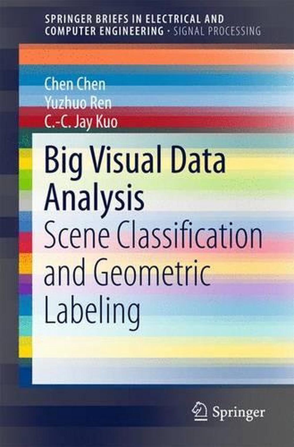 Big Visual Data Analysis, 9789811006296