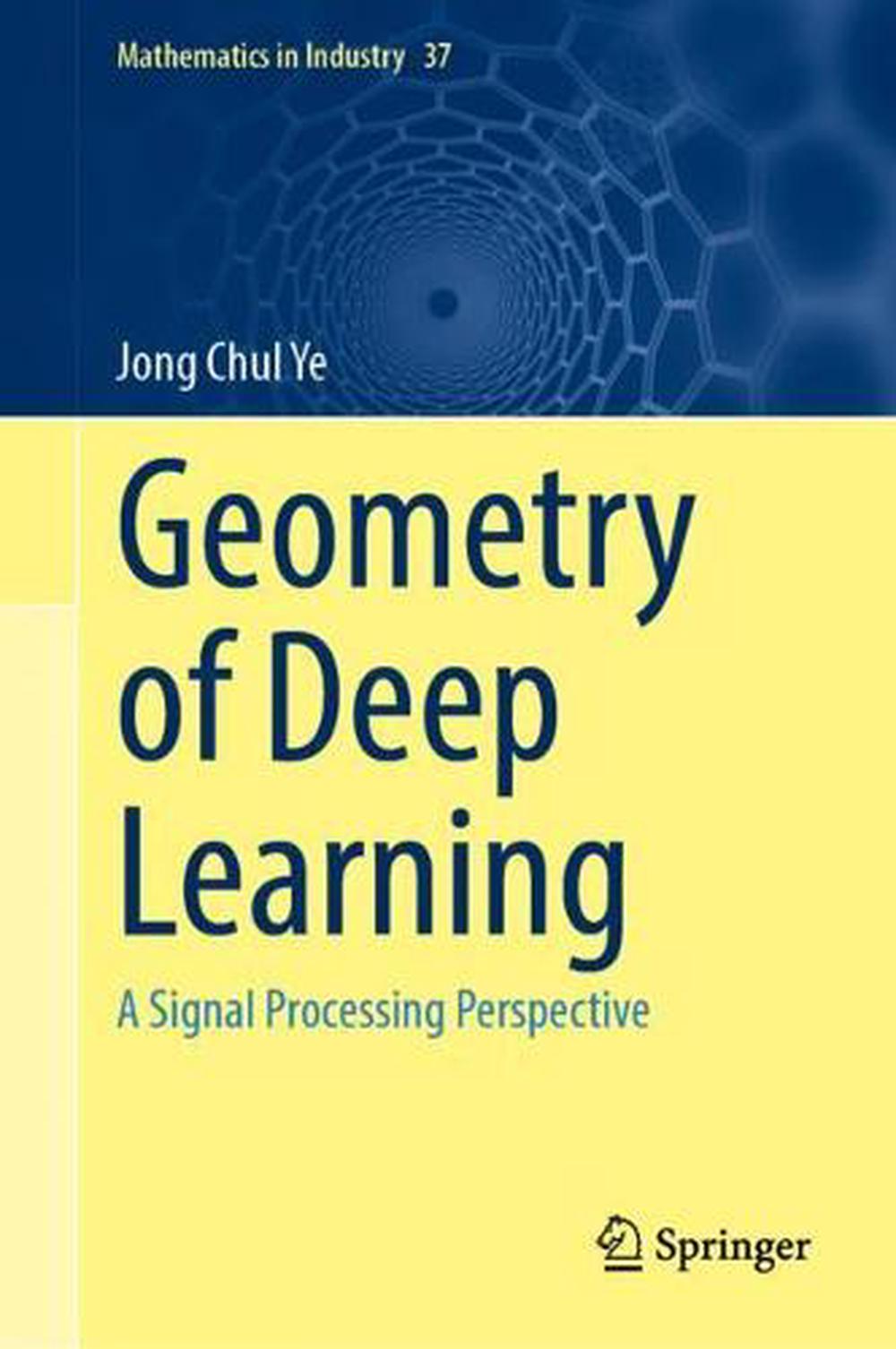 Geometry of Deep Learning, 9789811660450