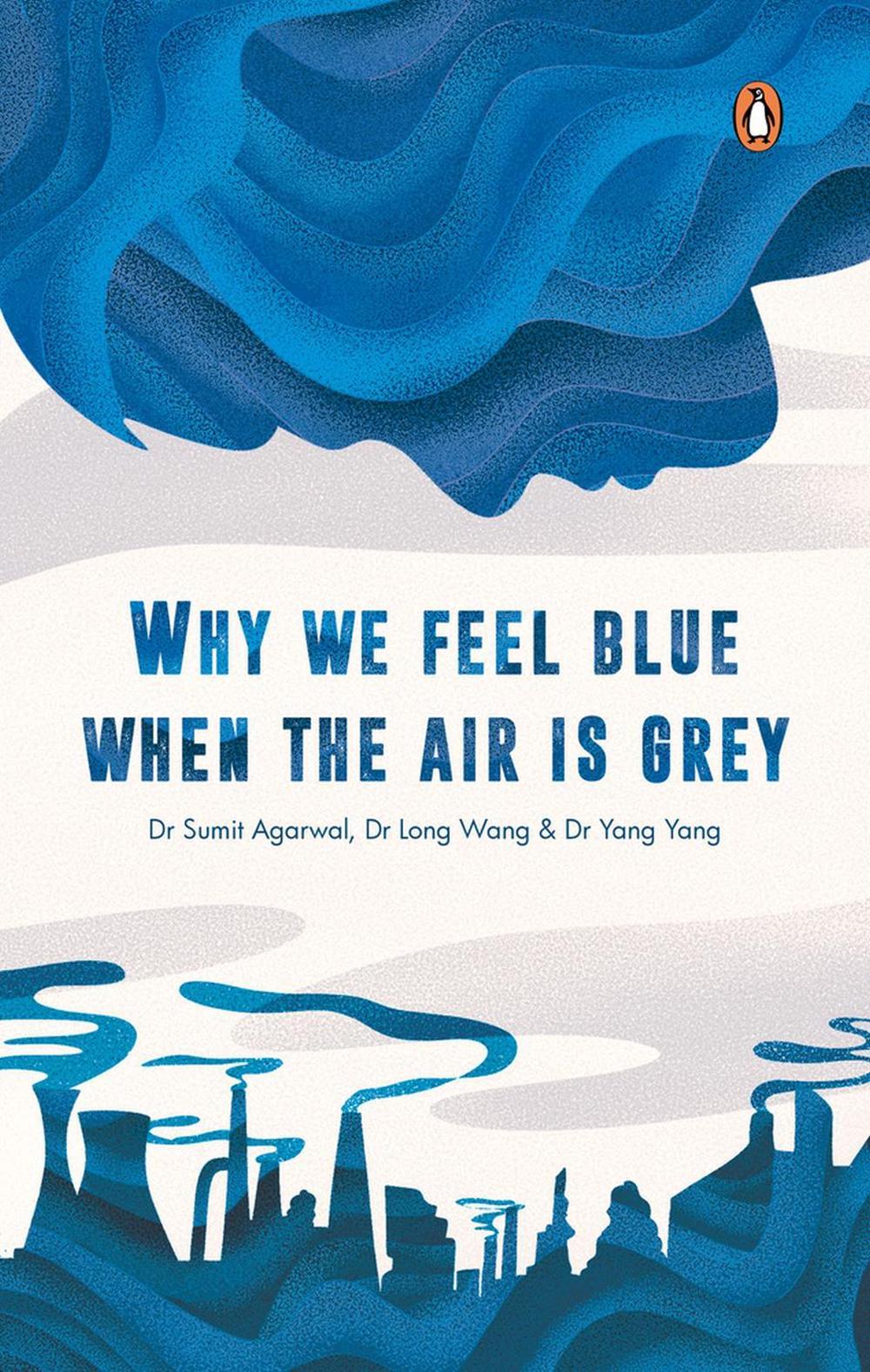 Why We Feel Blue When the Air is Grey by Dr Sumit Agarwal, Dr Long Wang, Dr Yang Yang - ISBN: 9789815017861