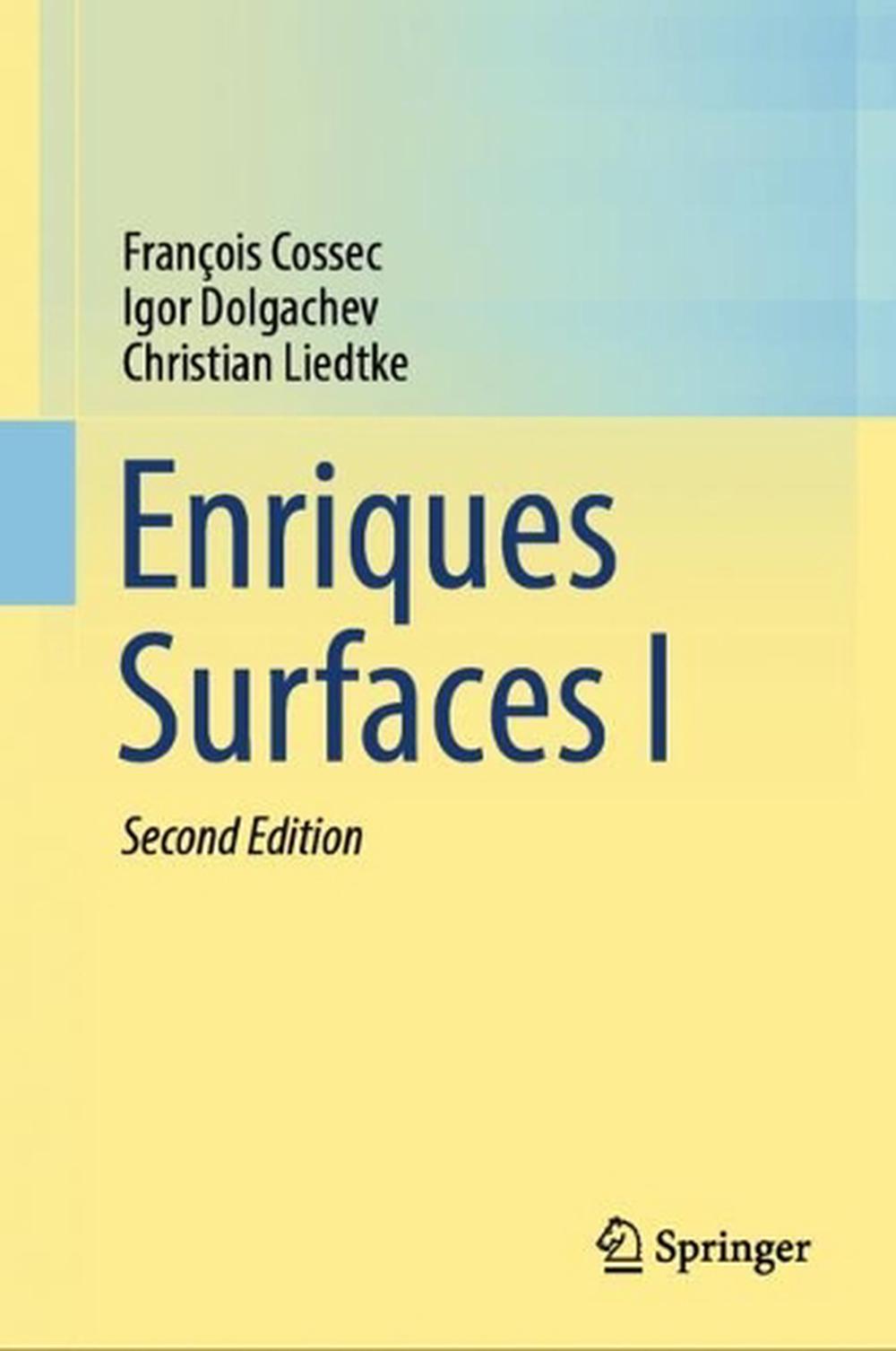 Enriques Surfaces I, 9789819612130