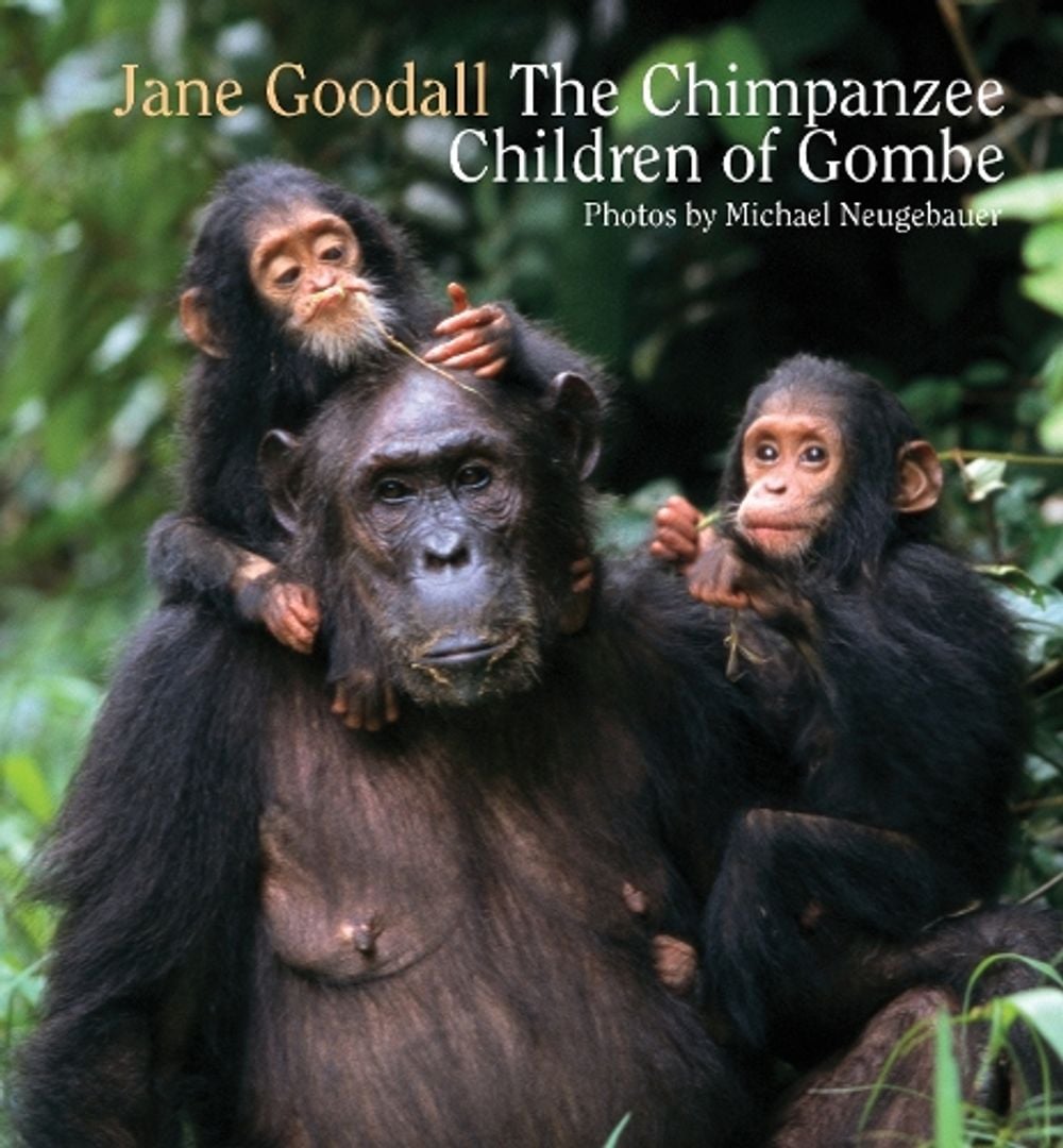 Chimpanzee Children of Gombe, The by J. Goodall - ISBN: 9789888240838