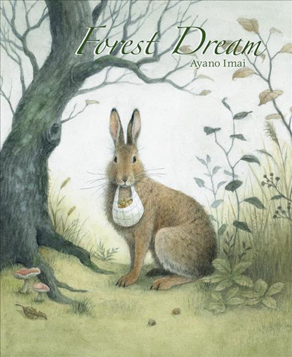 Forest Dream by A. Imai - ISBN: 9789888341641
