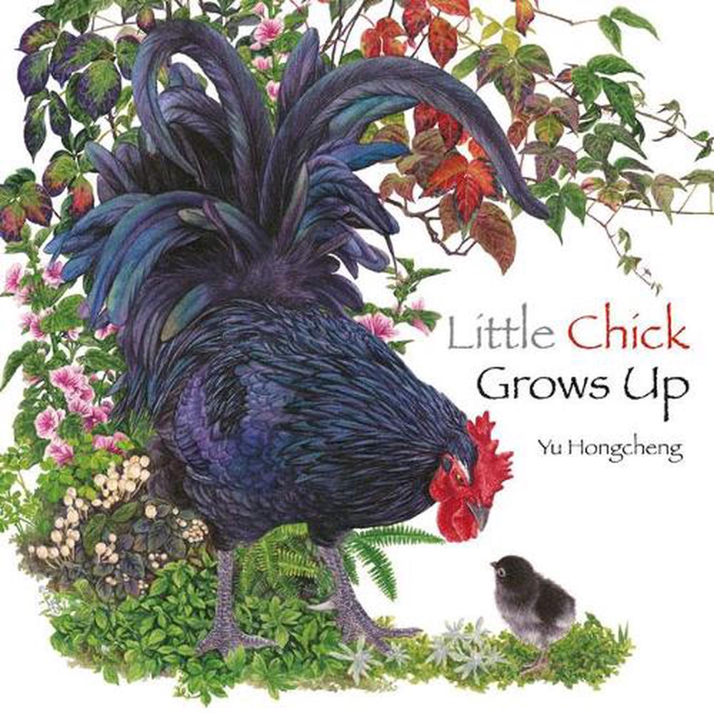 Little Chick Grows Up by Y. Hingcheng - ISBN: 9789888342020