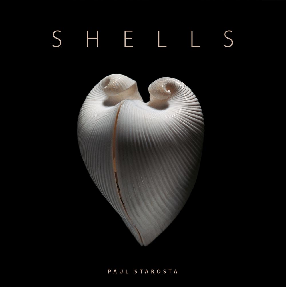 Shells by Paul Starosta - ISBN: 9791254600825