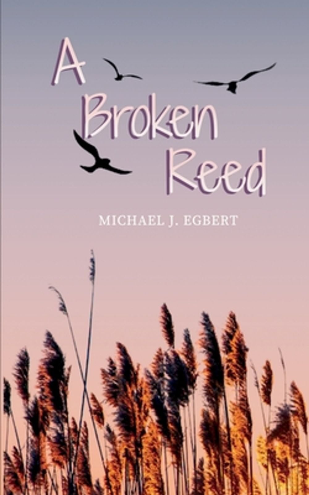 A Broken Reed by Michael J. Egbert - ISBN: 9798182749909