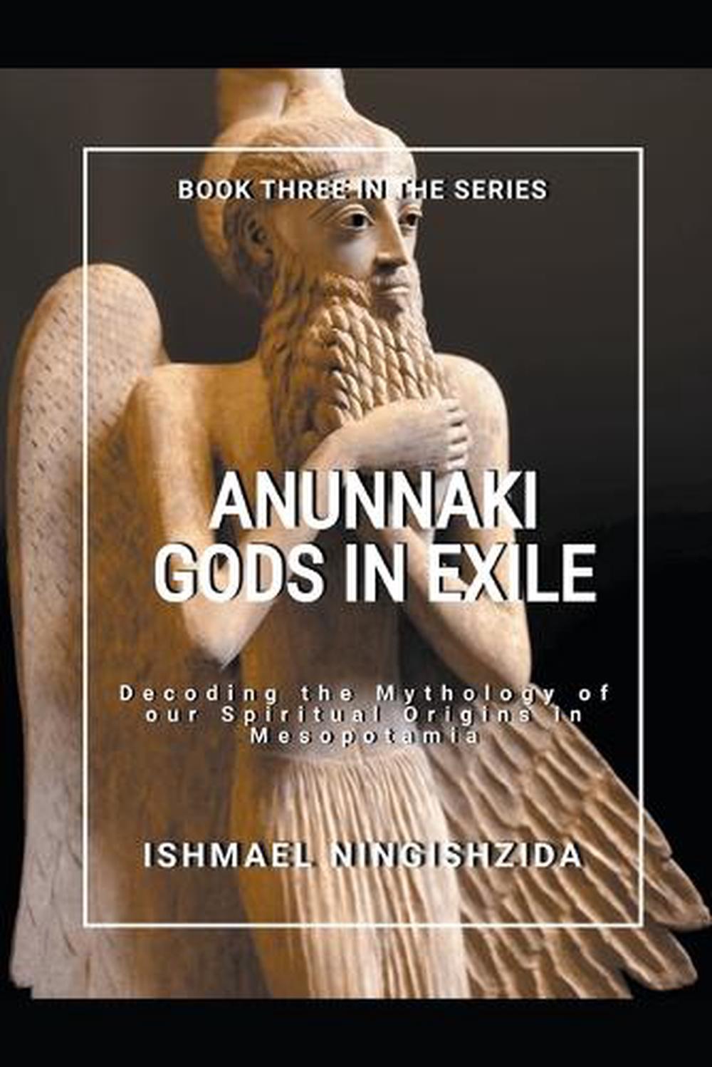 Anunnaki Gods in Exile, 9798215161746