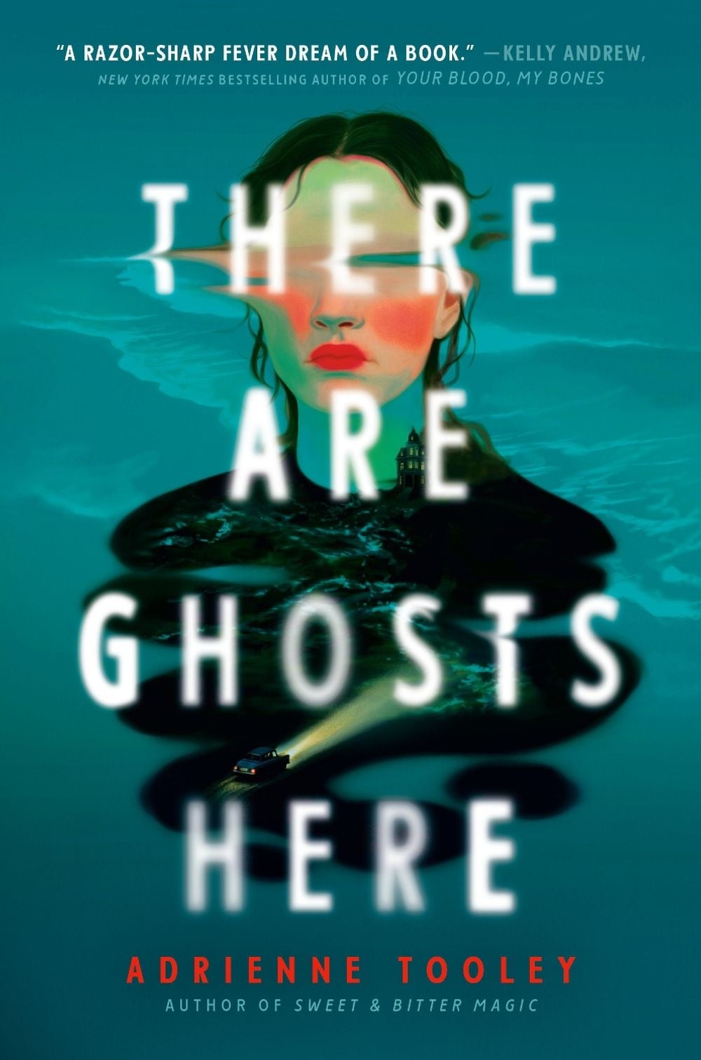 There Are Ghosts Here by Adrienne Tooley - ISBN: 9798217027897