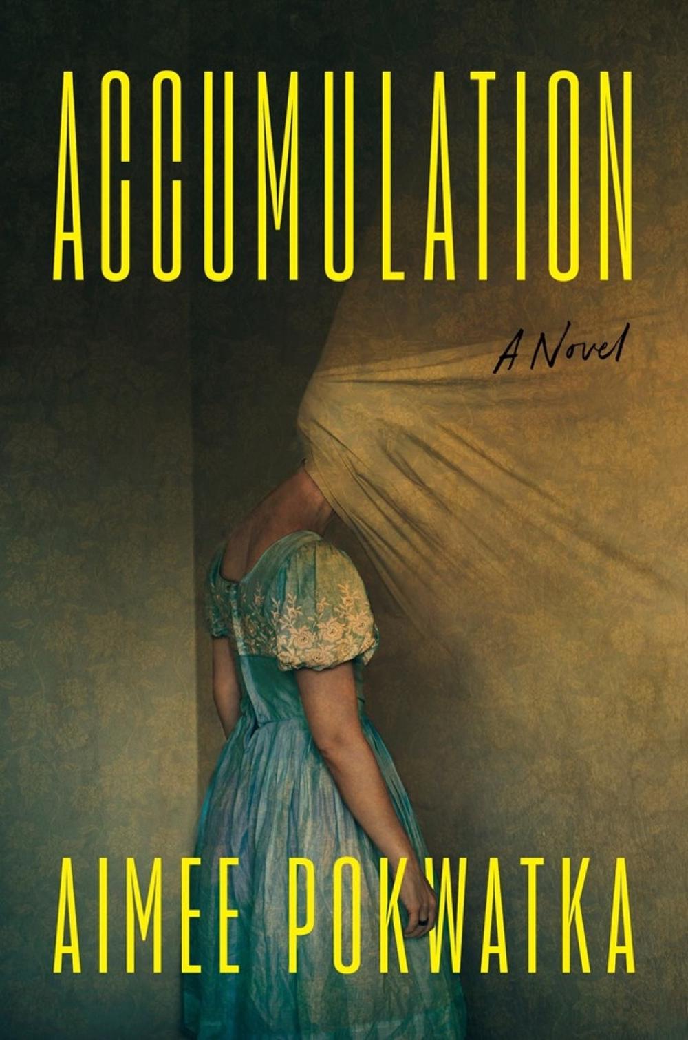 Accumulation by Aimee Pokwatka - ISBN: 9798217047628