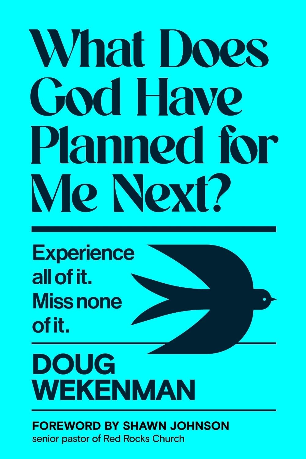 What Does God Have Planned for Me Next? by Doug Wekenman - ISBN: 9798217151943