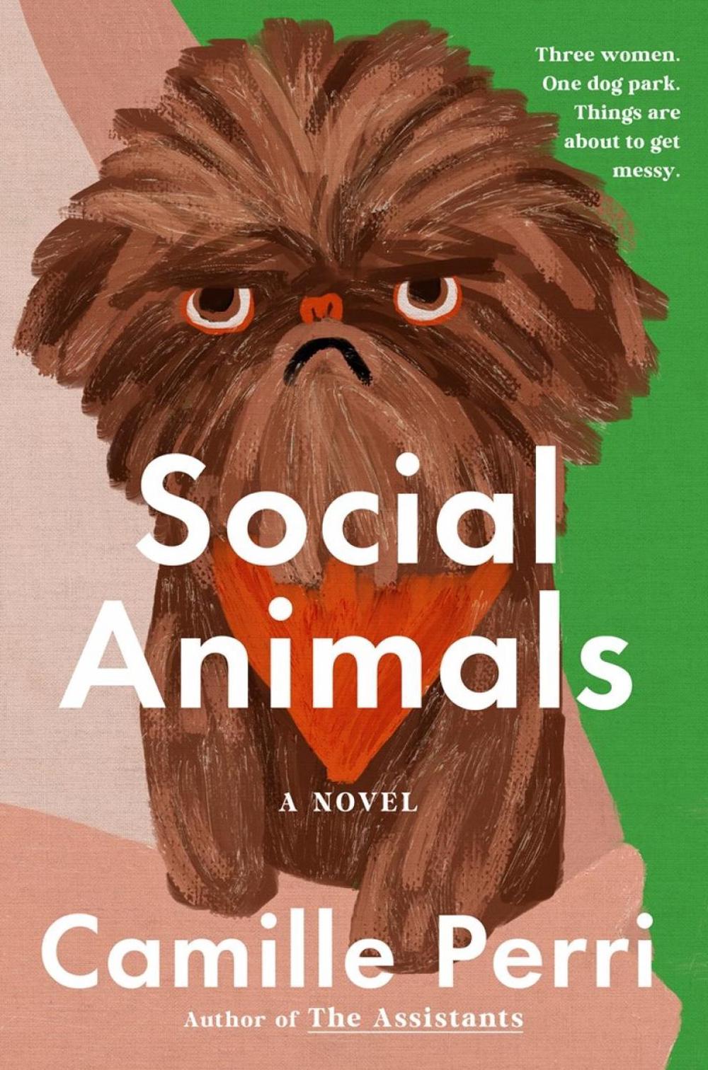 Social Animals, 9798217181759