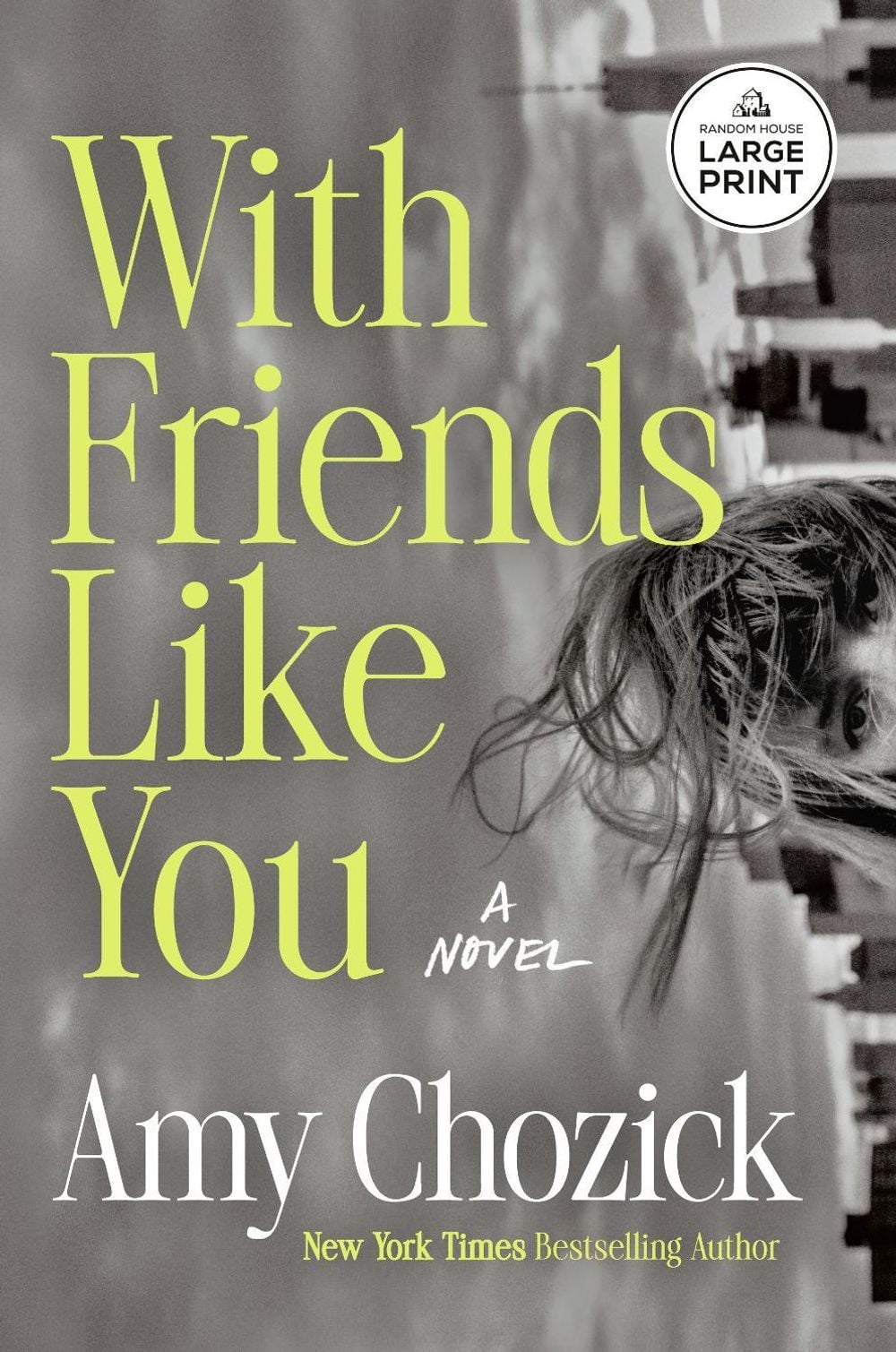 With Friends Like You by Amy Chozick - ISBN: 9798217349319