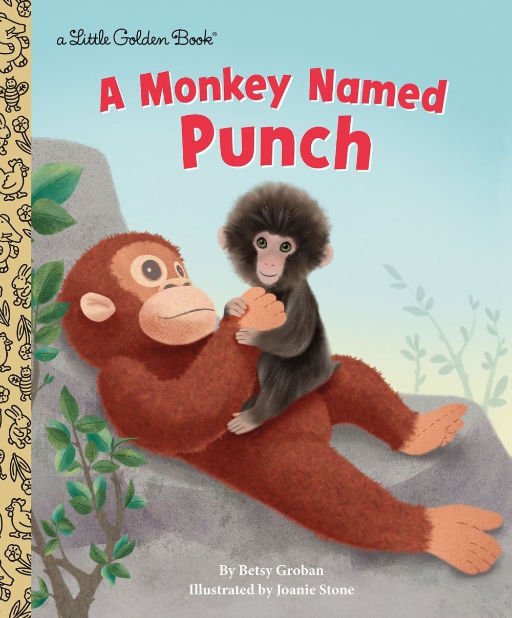 A Monkey Named Punch by Betsy Groban - ISBN: 9798217447671