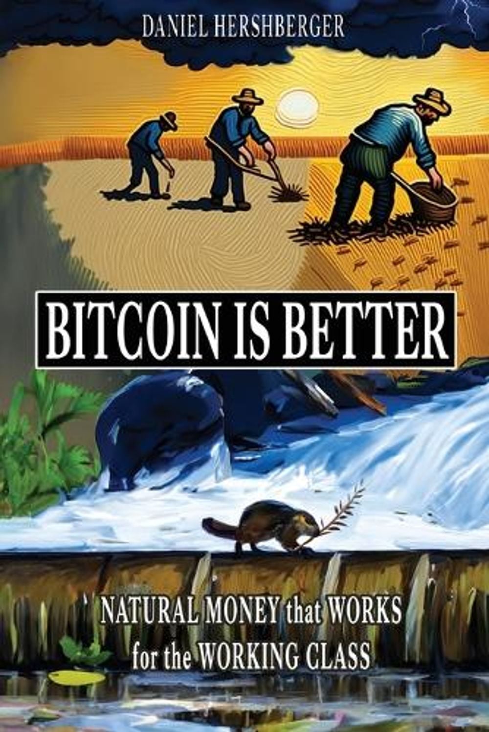 Bitcoin is Better by Daniel Hershberger - ISBN: 9798218268640