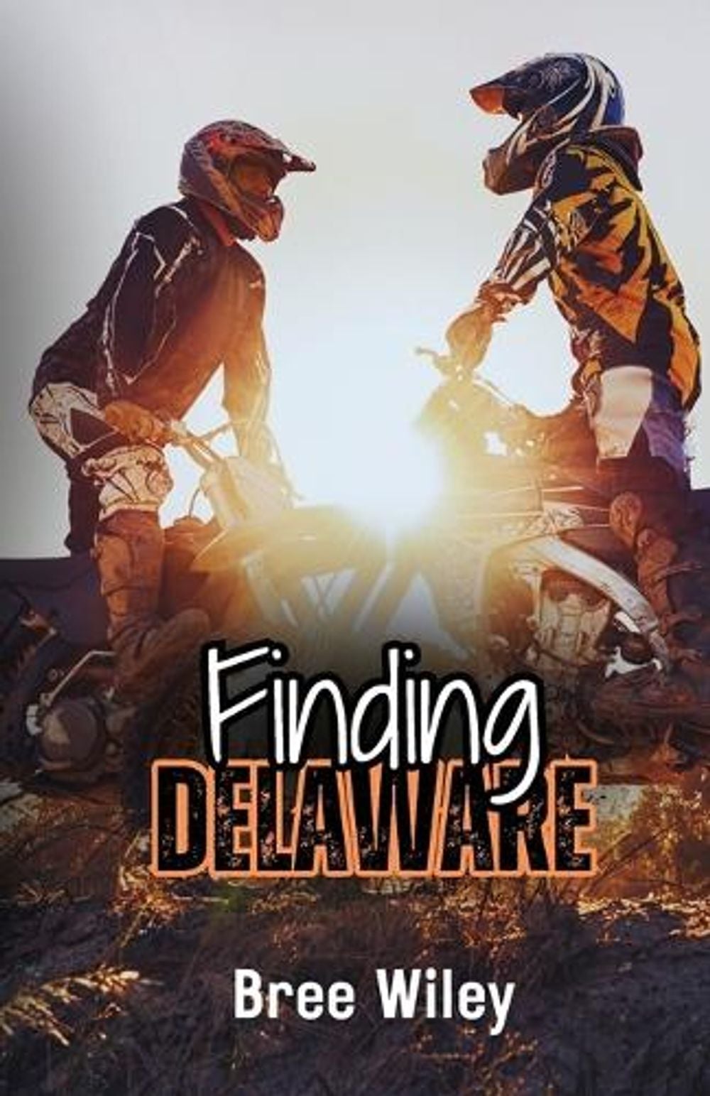 Finding Delaware by Bree Wiley - ISBN: 9798218494896