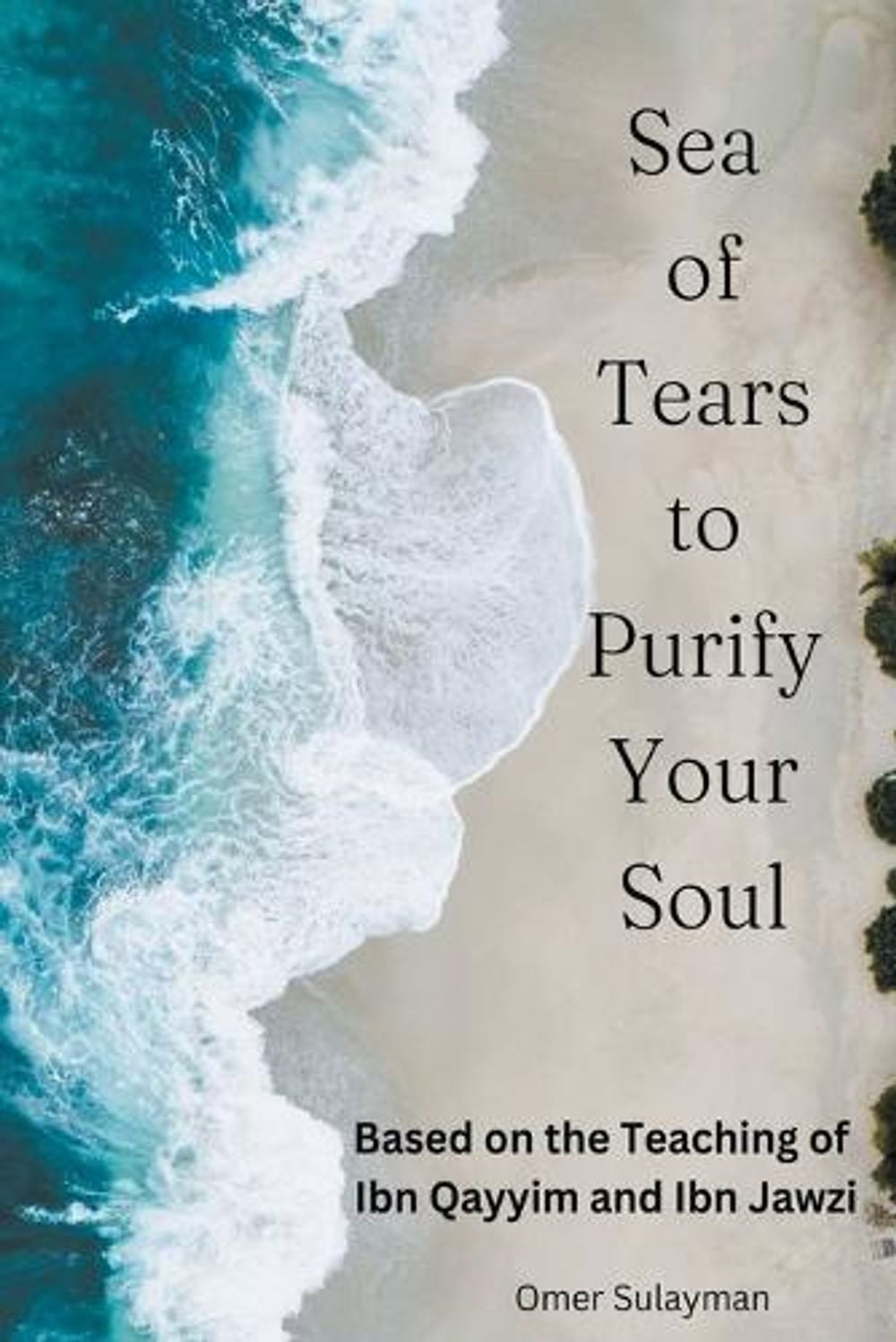 Sea of Tears to Purify Your Soul by Omer Sulayman - ISBN: 9798223275916