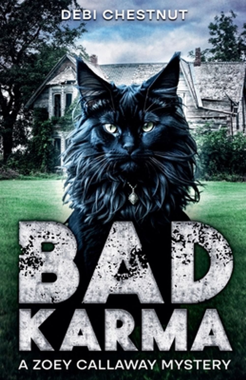Bad Karma by Debi Chestnut - ISBN: 9798230752950