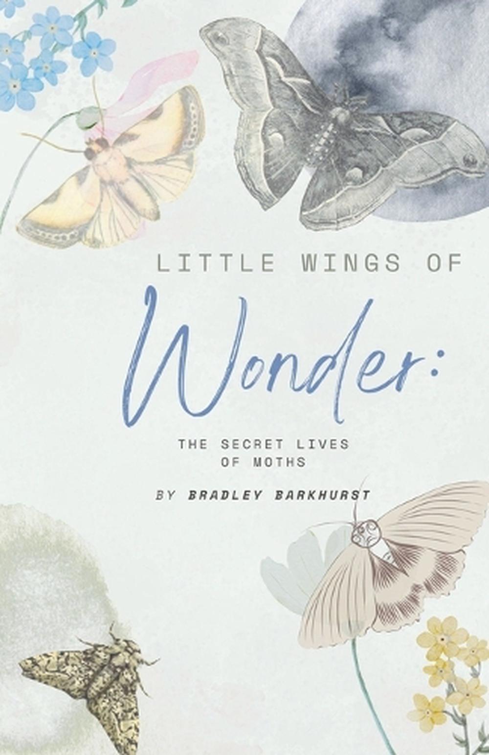Little Wings of Wonder, 9798231239313