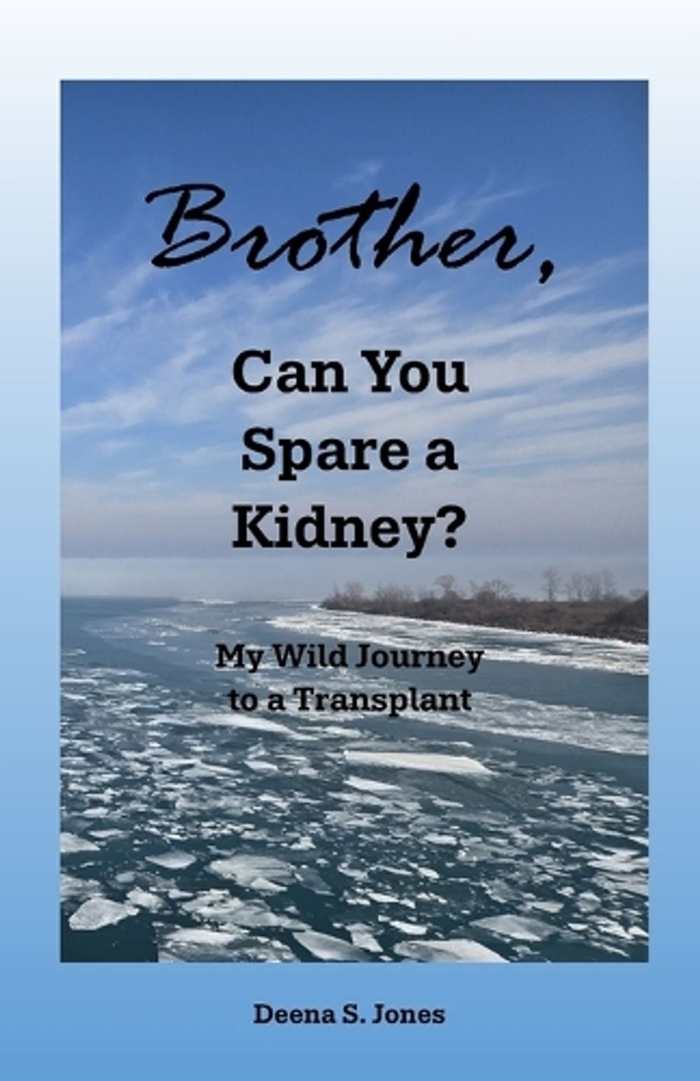 Brother, Can You Spare a Kidney? by Deena S. Jones - ISBN: 9798234050847