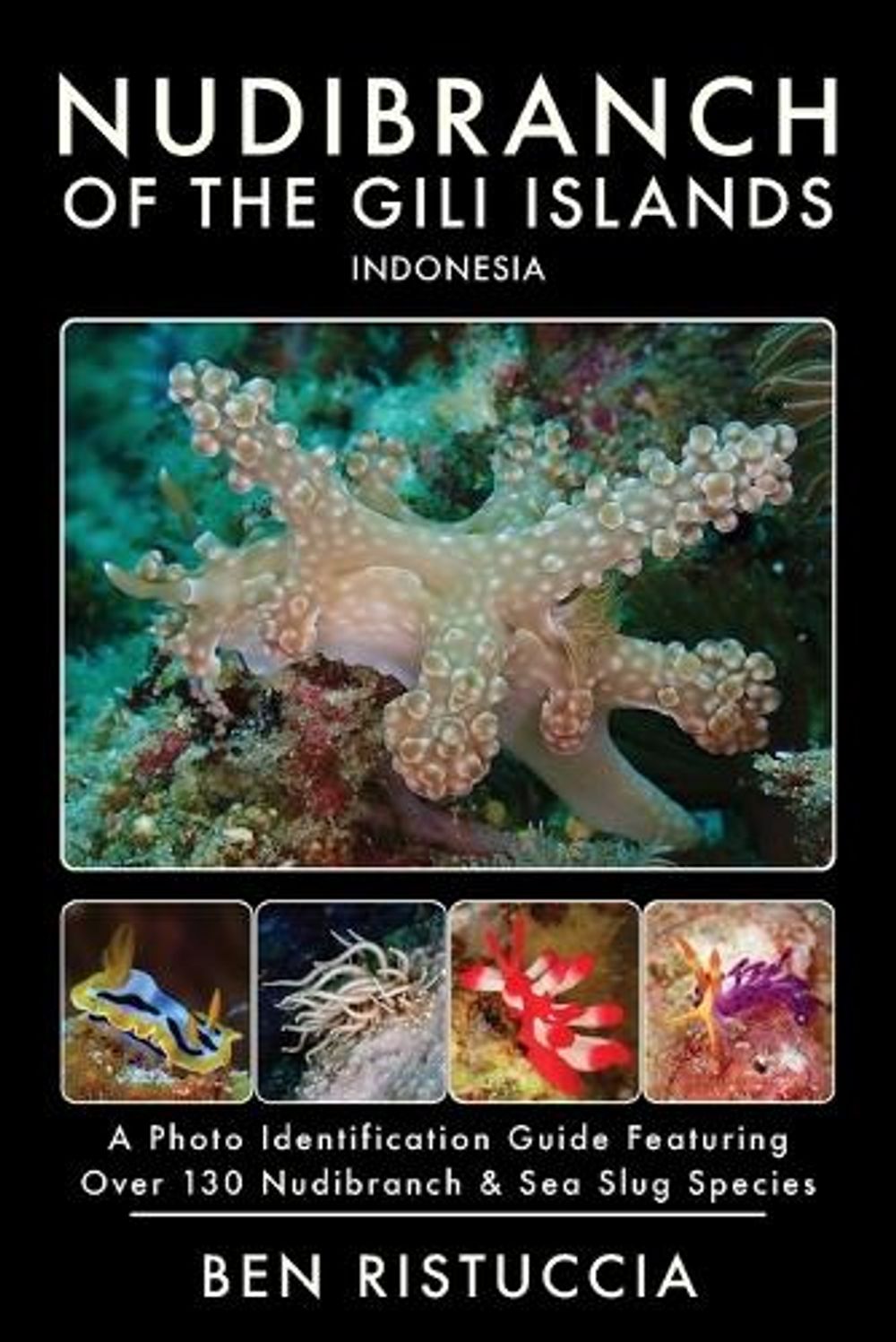 Nudibranch of the Gili Islands Indonesia by Ben Ristuccia - ISBN: 9798234154699