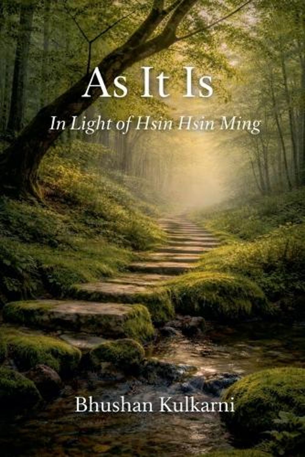 As It Is by Bhushan Kulkarni - ISBN: 9798235176362