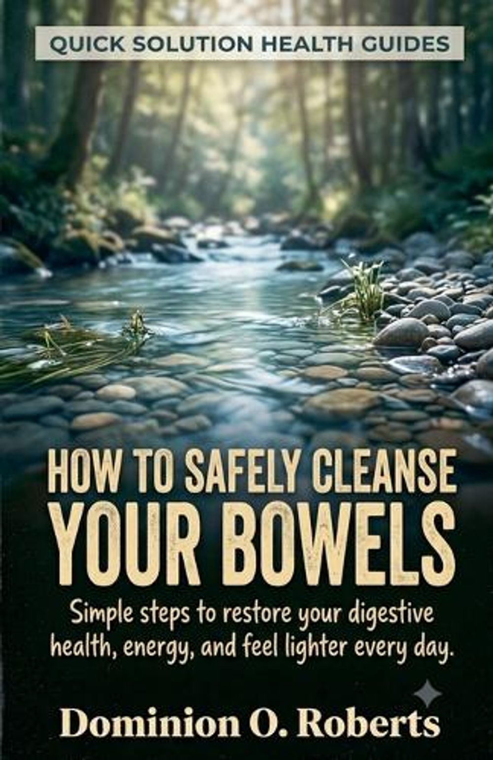How To Safely Cleanse Your Bowels by Dominion O. Roberts - ISBN: 9798237309362