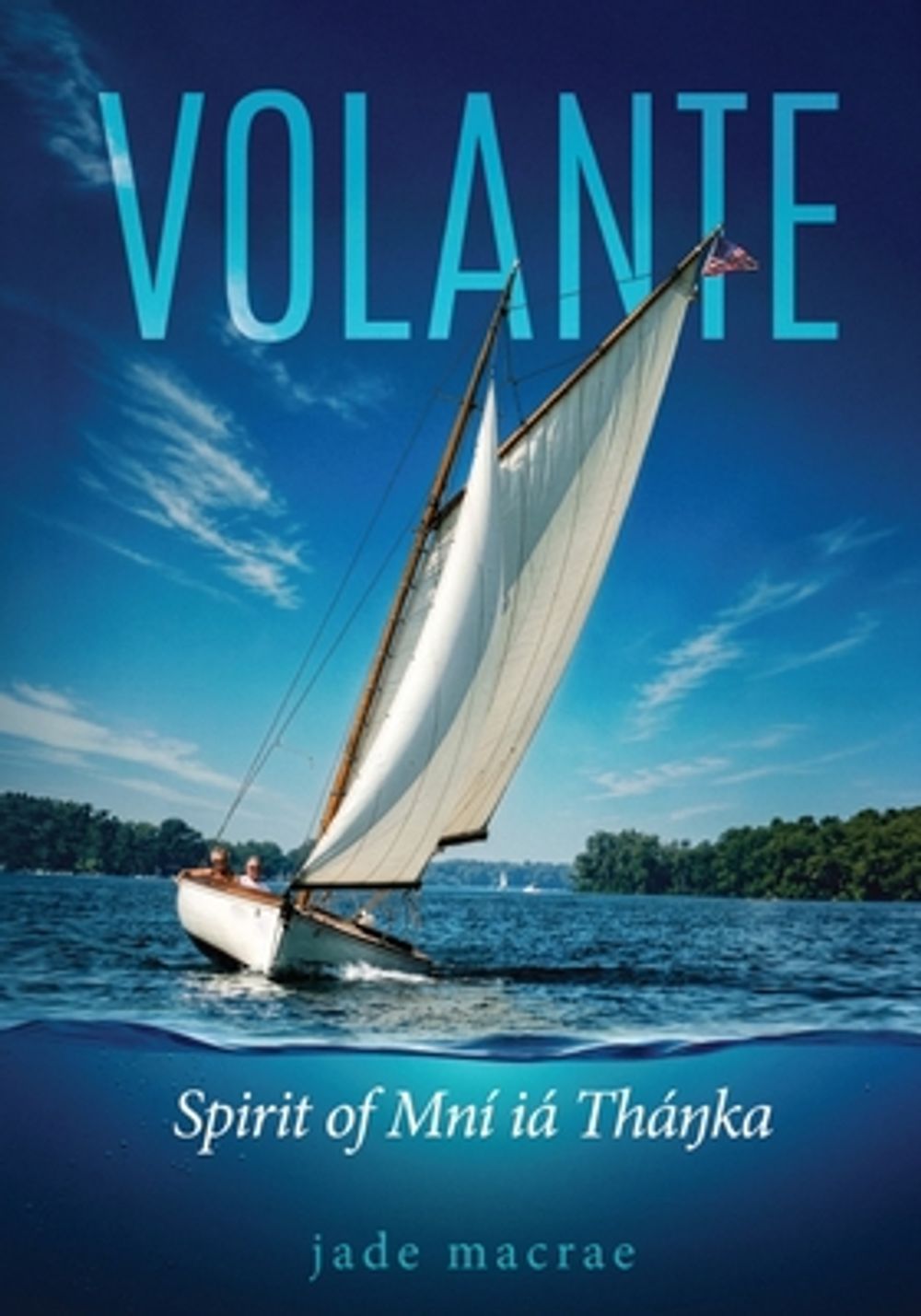 Volante by MR James D. MacRae - ISBN: 9798256289973