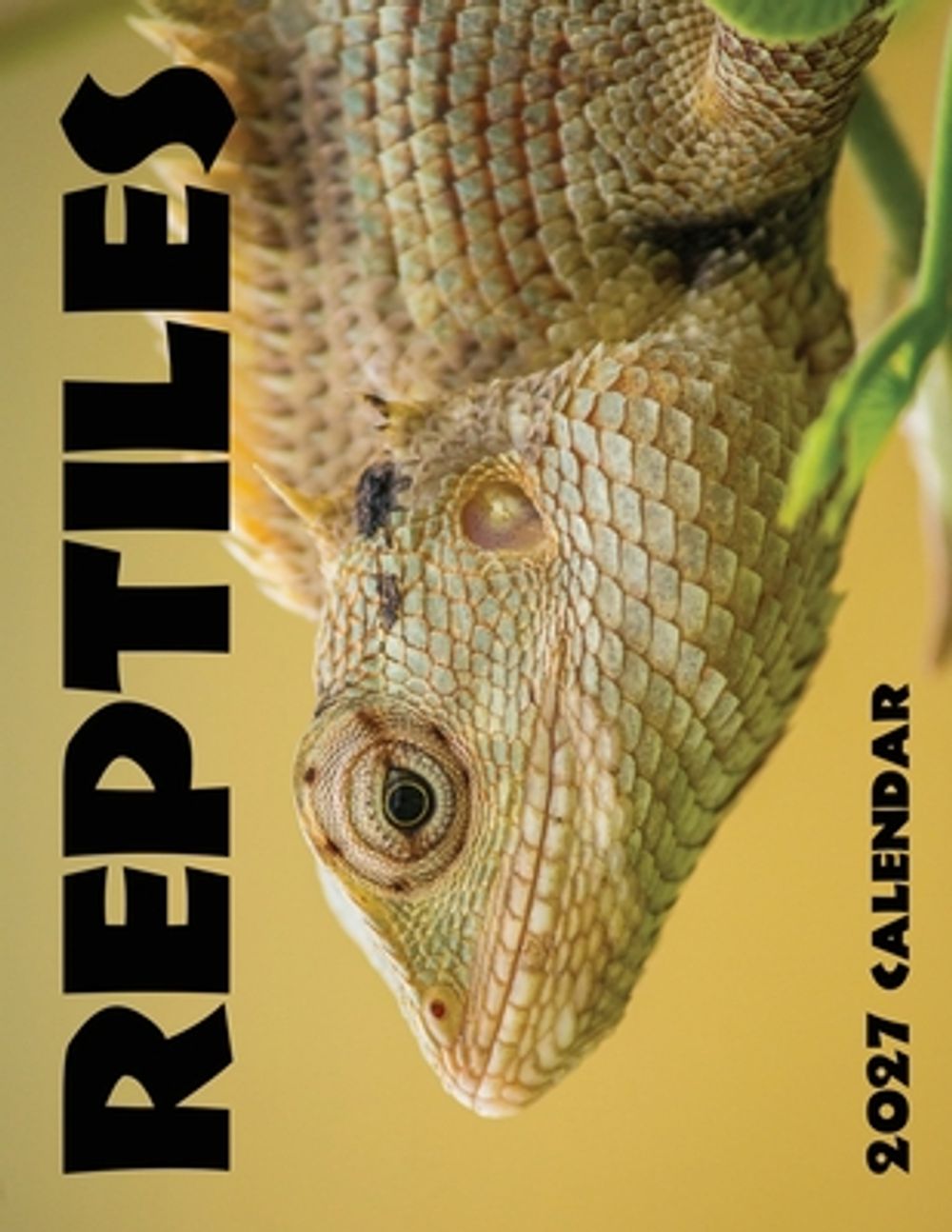 Reptiles 2027 Calendar by B. Patrick - ISBN: 9798256296872