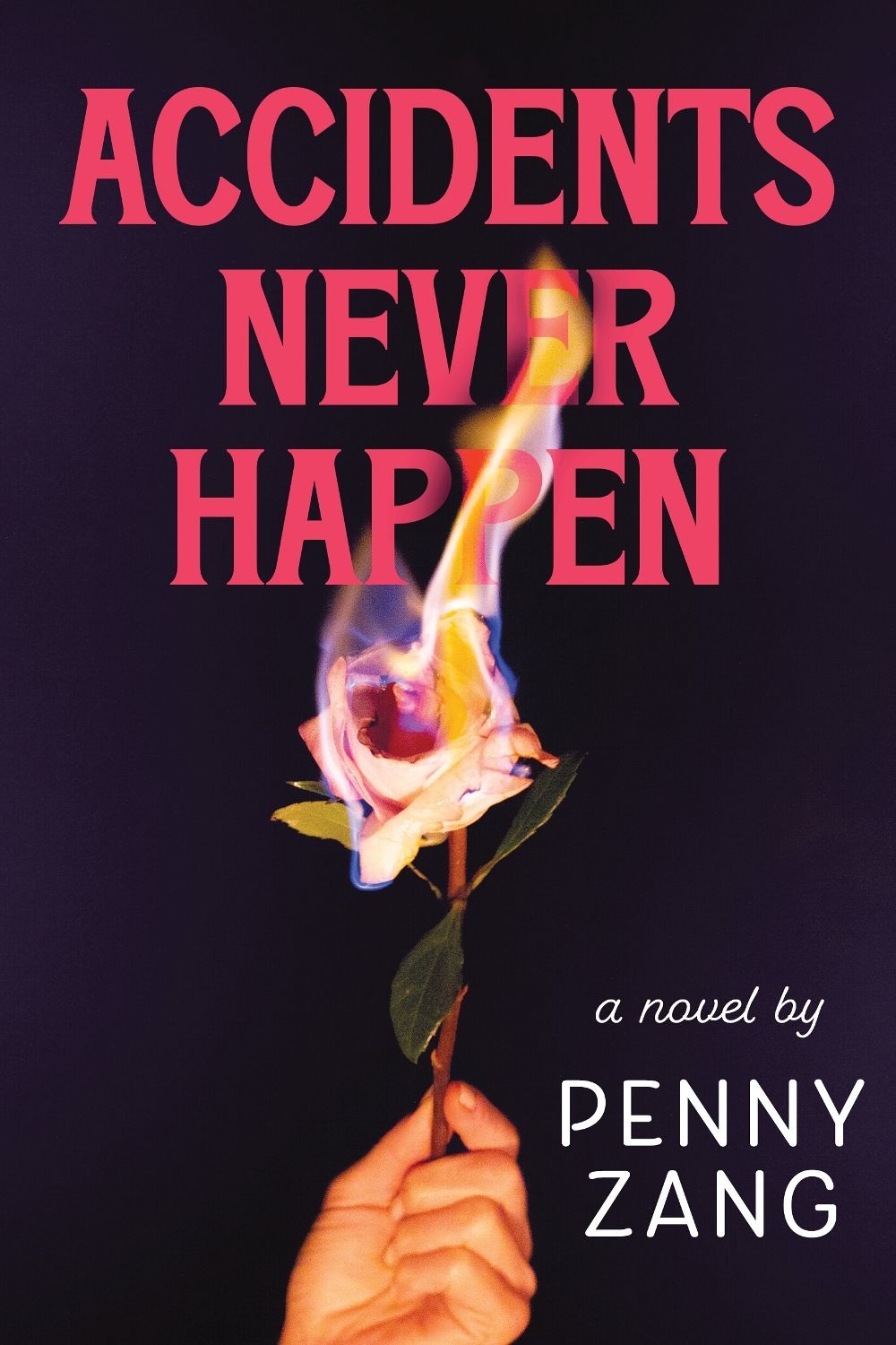 Accidents Never Happen by Penny Zang - ISBN: 9798256507862