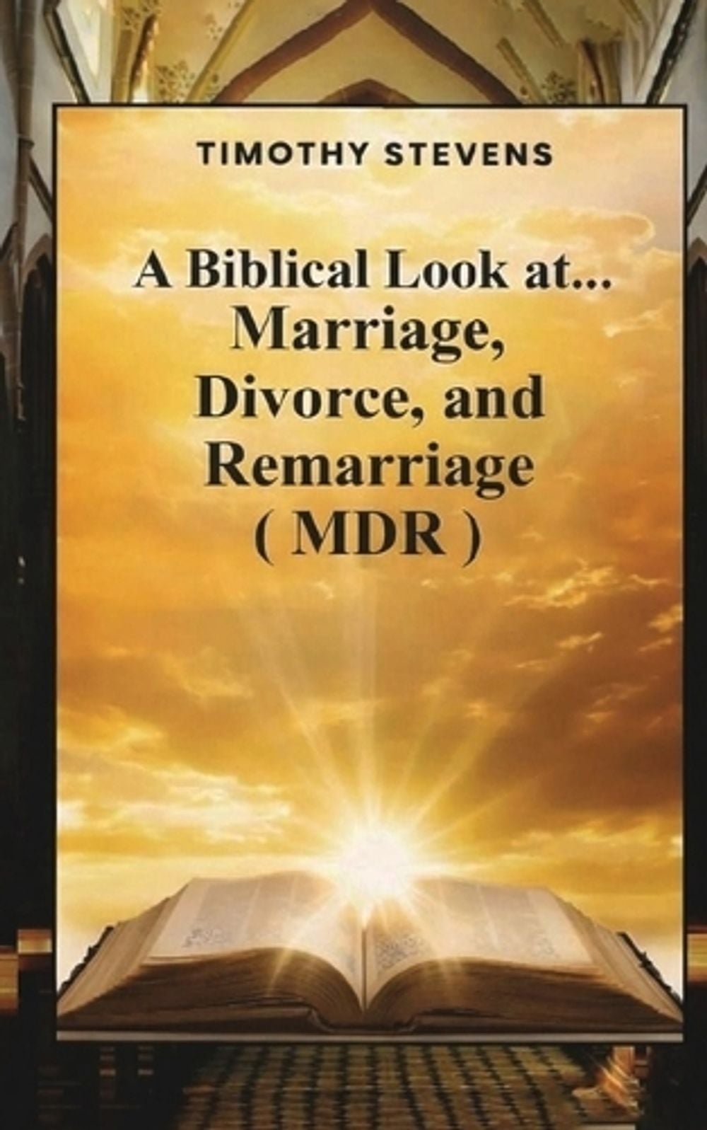 A Biblical Look at... by Timothy Stevens - ISBN: 9798295858468