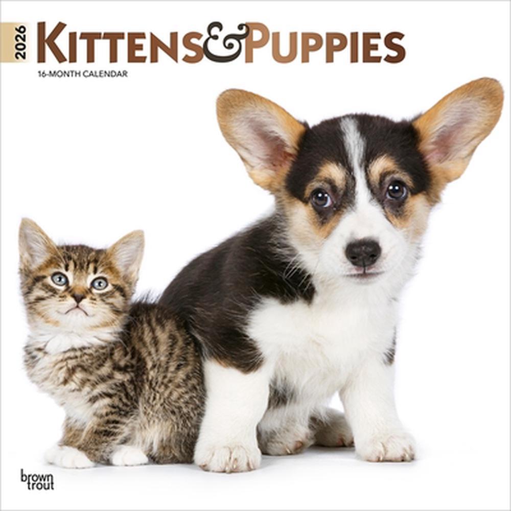Kittens & Puppies 2026 12 X 24 Inch (Hanging) Monthly Square Wall ...