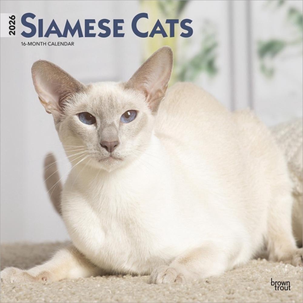 Siamese Cats 2026 12 X 24 Inch (Hanging) Monthly Square Wall Calendar Plastic-Free by Browntrout - ISBN: 9798330705573