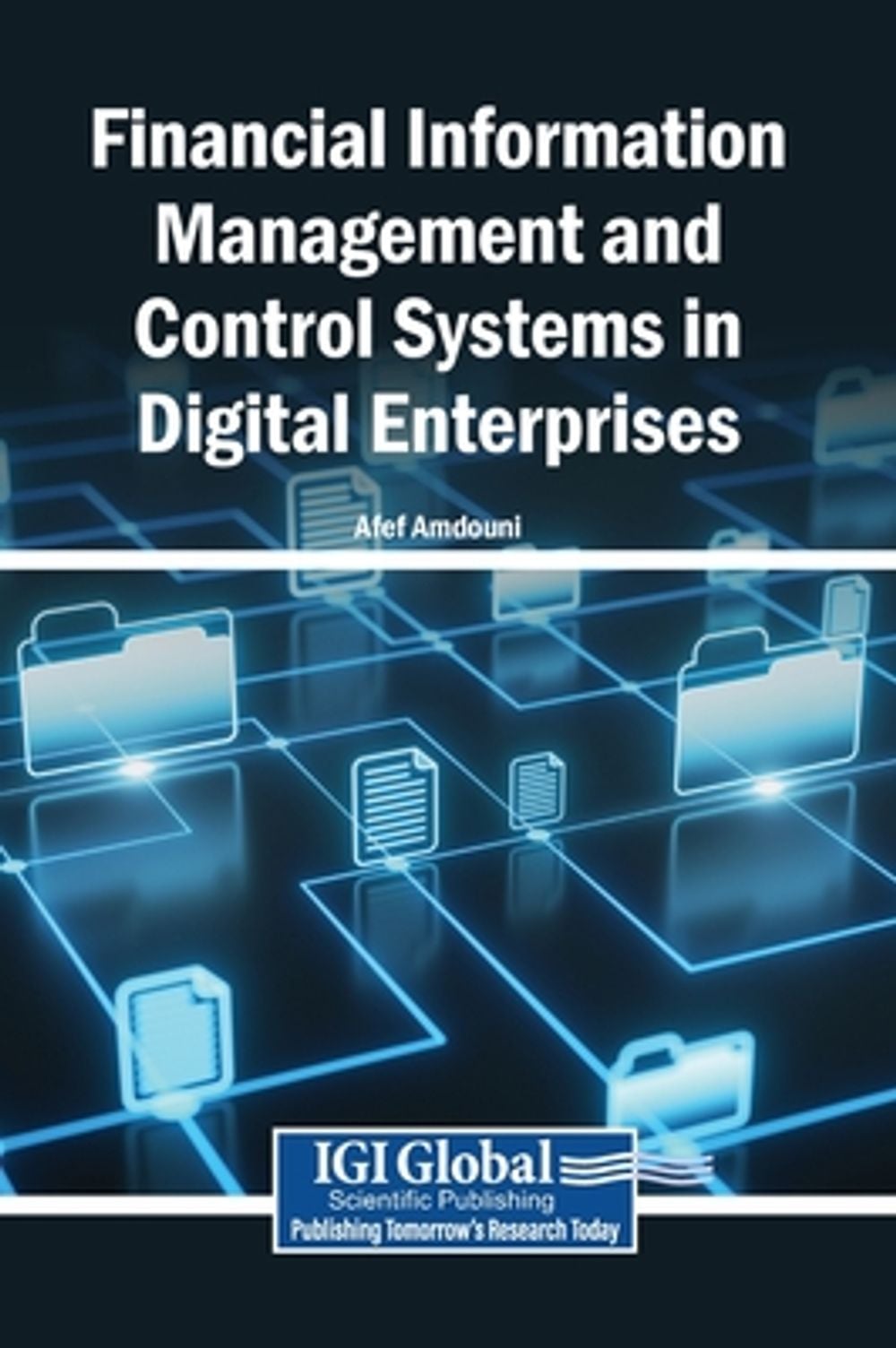 Financial Information Management and Control Systems in Digital Enterprises by Afef Amdouni - ISBN: 9798337392301