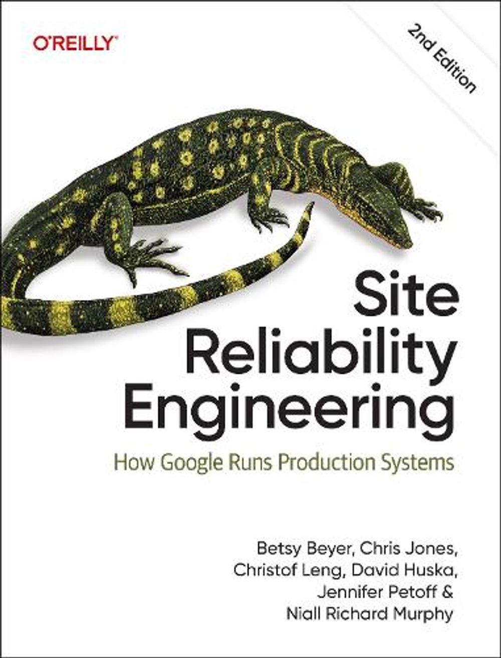 Site Reliability Engineering by Betsy Beyer - ISBN: 9798341607682