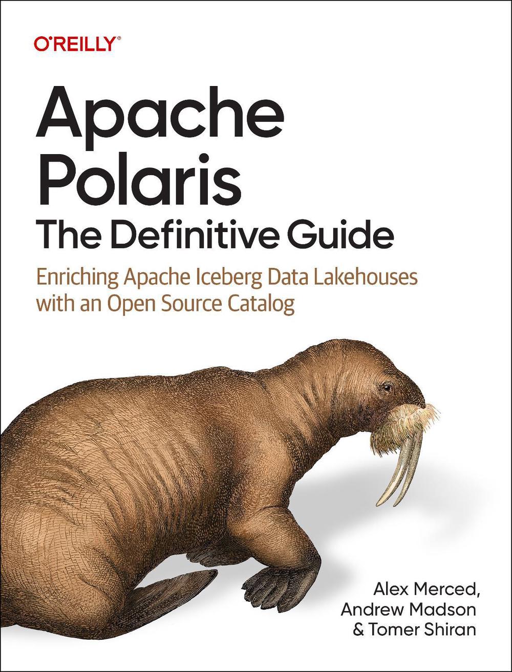 Apache Polaris - The Definitive Guide, 9798341608146
