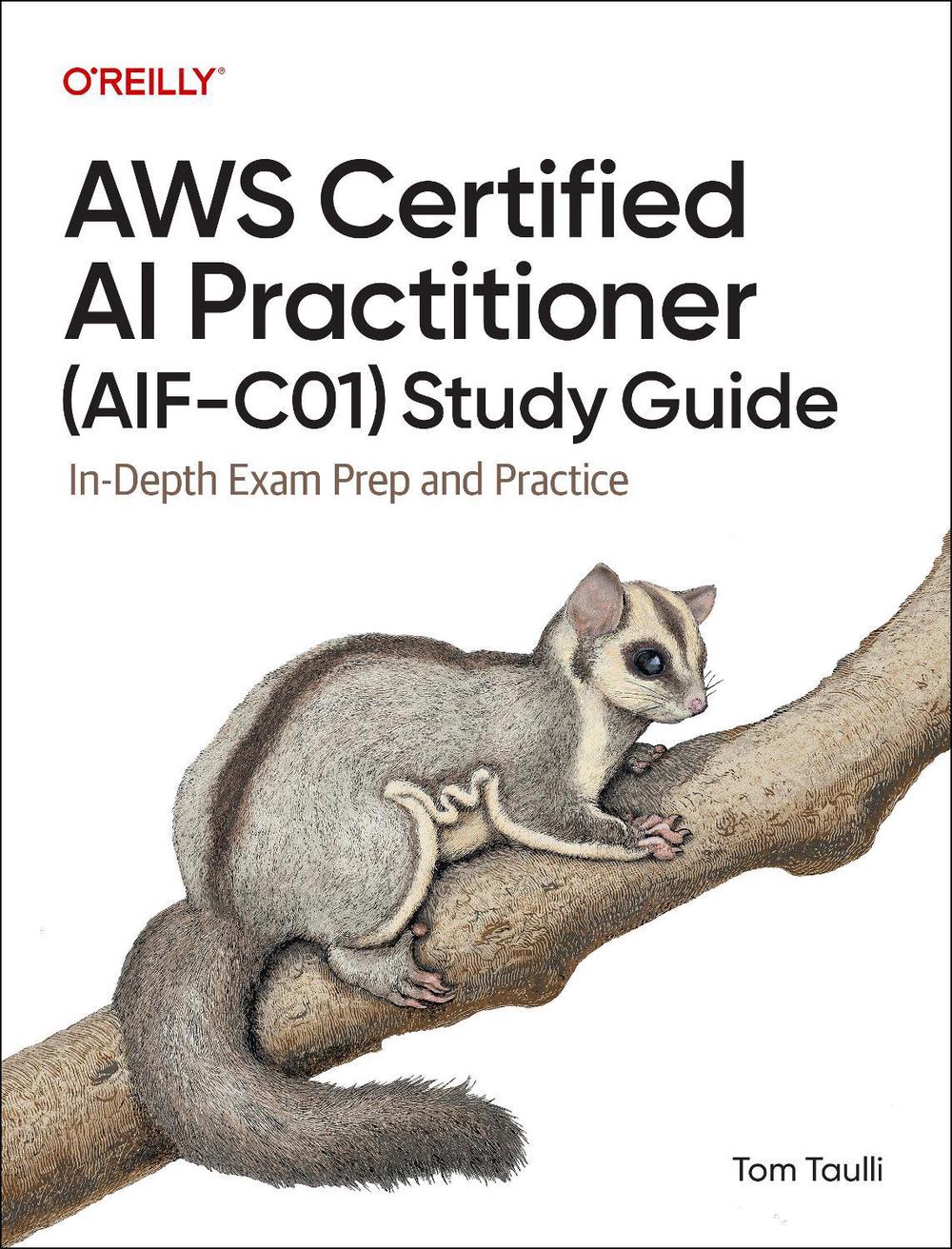 AWS Certified AI Practitioner Study Guide, 9798341622333