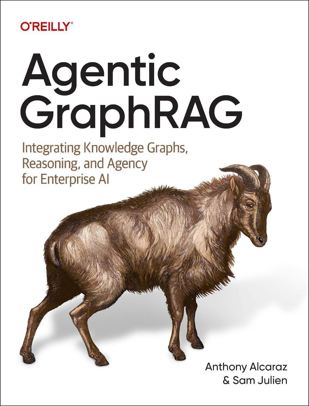 Agentic GraphRAG by Anthony Alcaraz - ISBN: 9798341623170