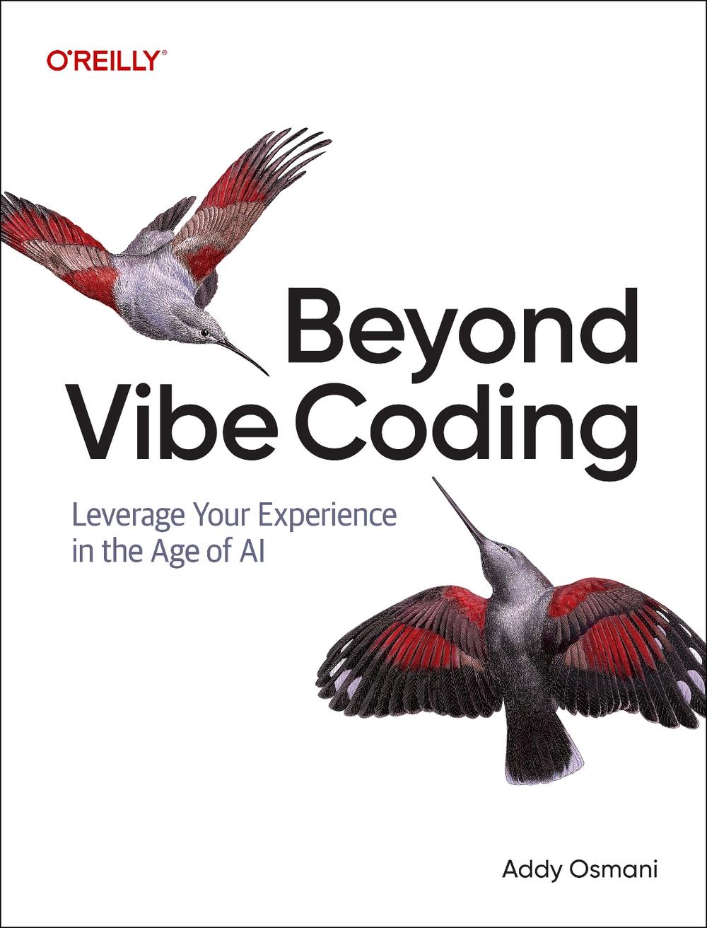 Beyond Vibe Coding, 9798341634756