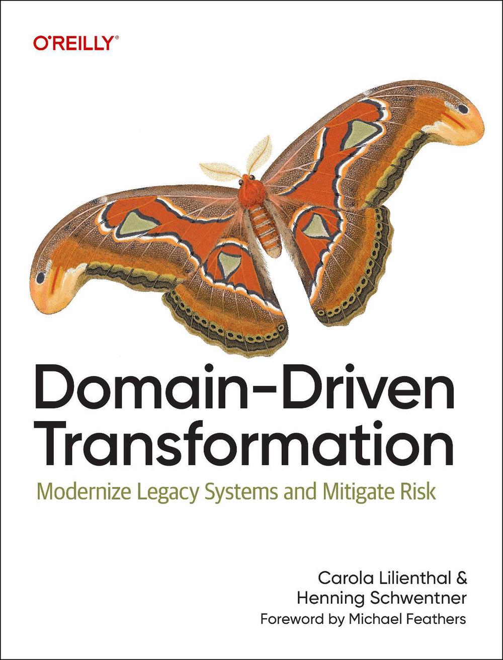 Domain-Driven Transformation, 9798341640122