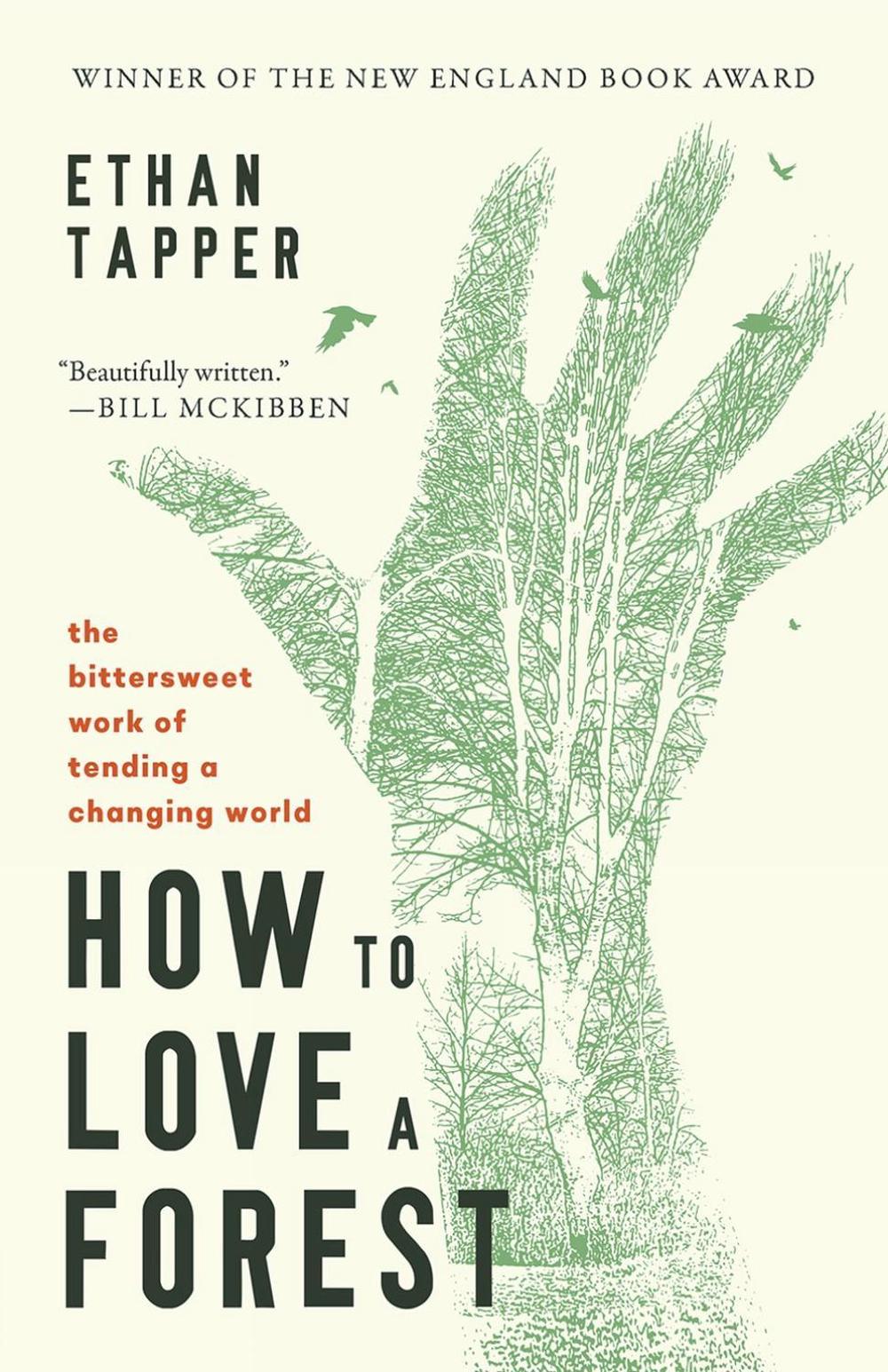 How to Love a Forest by Ethan Tapper - ISBN: 9798341900196