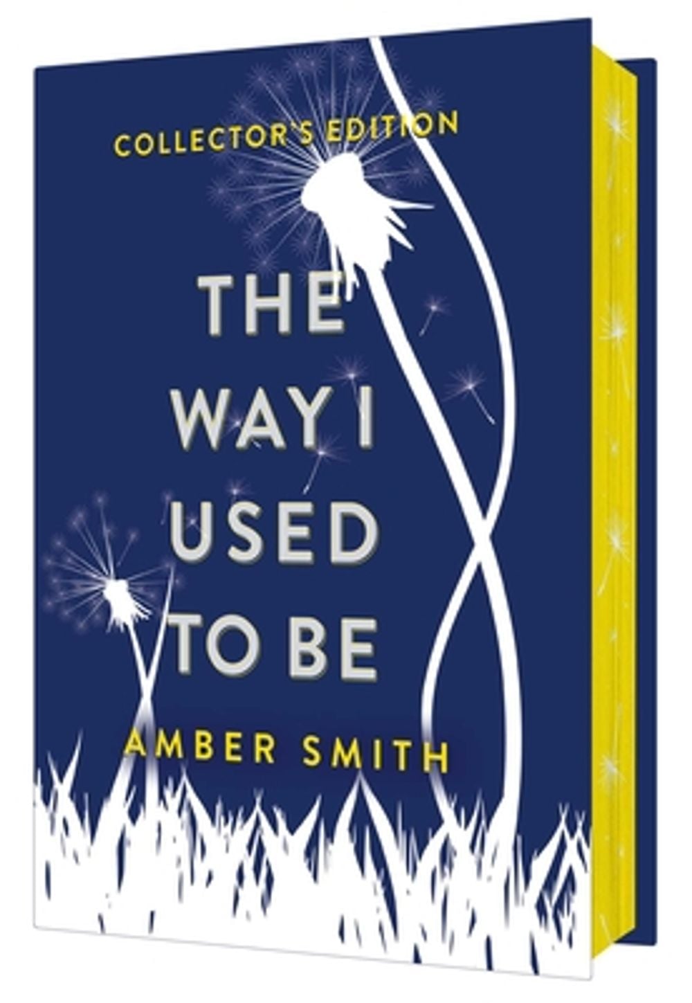 The Way I Used to Be (Collector's Edition) by Amber Smith - ISBN: 9798347101443